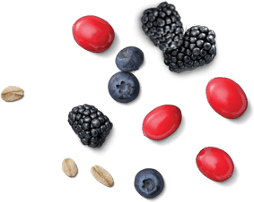 frutos