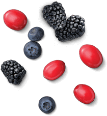 frutos